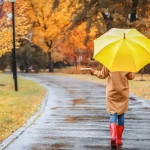 Optimal Roof Replacement Scheduling Austin Area Willing Roofing Services